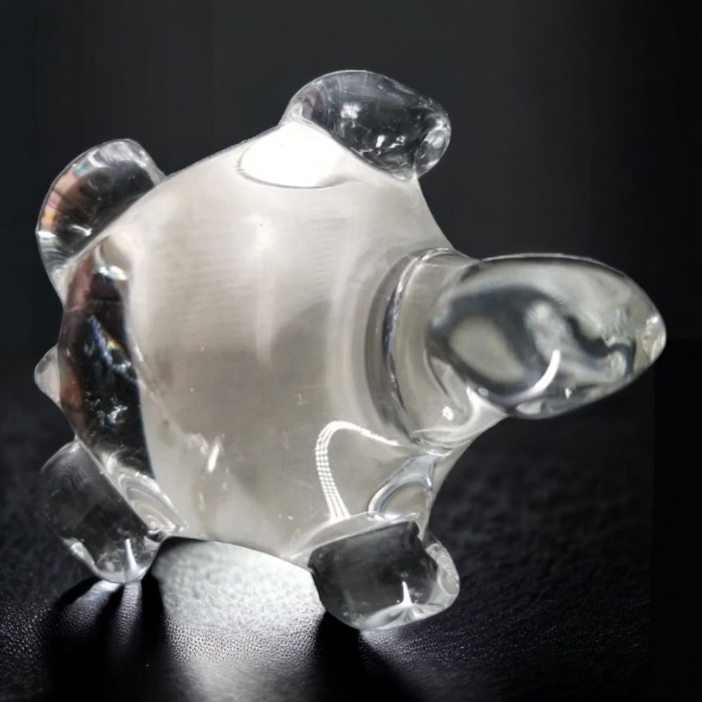 Turtle Paper Weight Clear Glass Oceanic Nautical Office Desk Home Wangs
